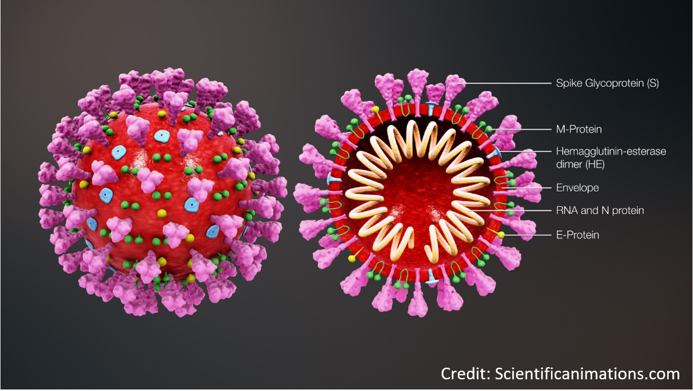 7 fakta om virus